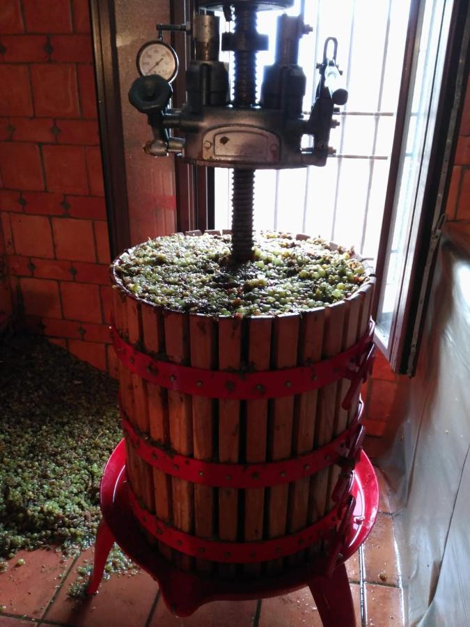 Casa Rural La Bodega, Ofrece Cata De Vino Gratis 호르세 외부 사진