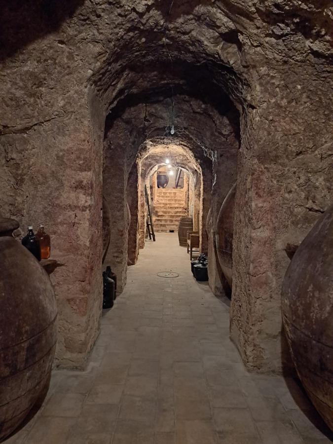 Casa Rural La Bodega, Ofrece Cata De Vino Gratis 호르세 외부 사진