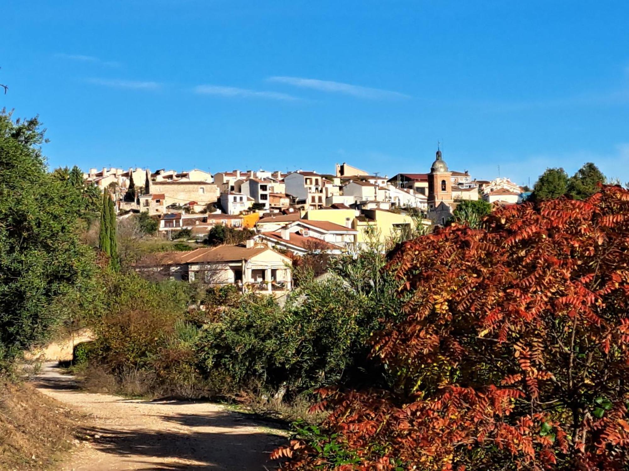 Casa Rural La Bodega, Ofrece Cata De Vino Gratis 호르세 외부 사진